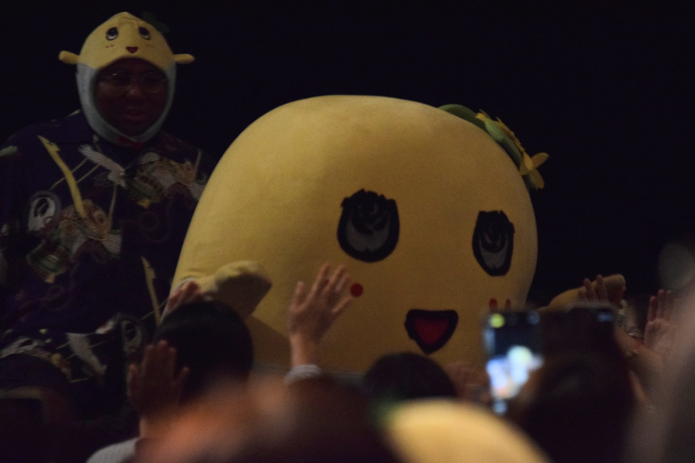 くっきり背後霊　黒い霊 51r-lnnEdAL._AC_UF894,