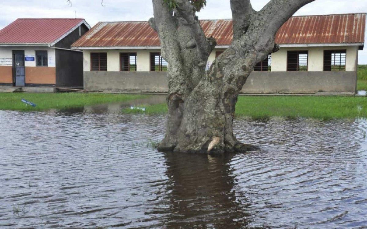 Lwera wetland degradation is taking a toll on residents again.

Illegal sand mining &amp; rice farming continue to cause flooding, destroying homes and crops, leaving families homeless. Local authorities have failed to stop the destruction. It's now upon us to #SaveLweraWetlan