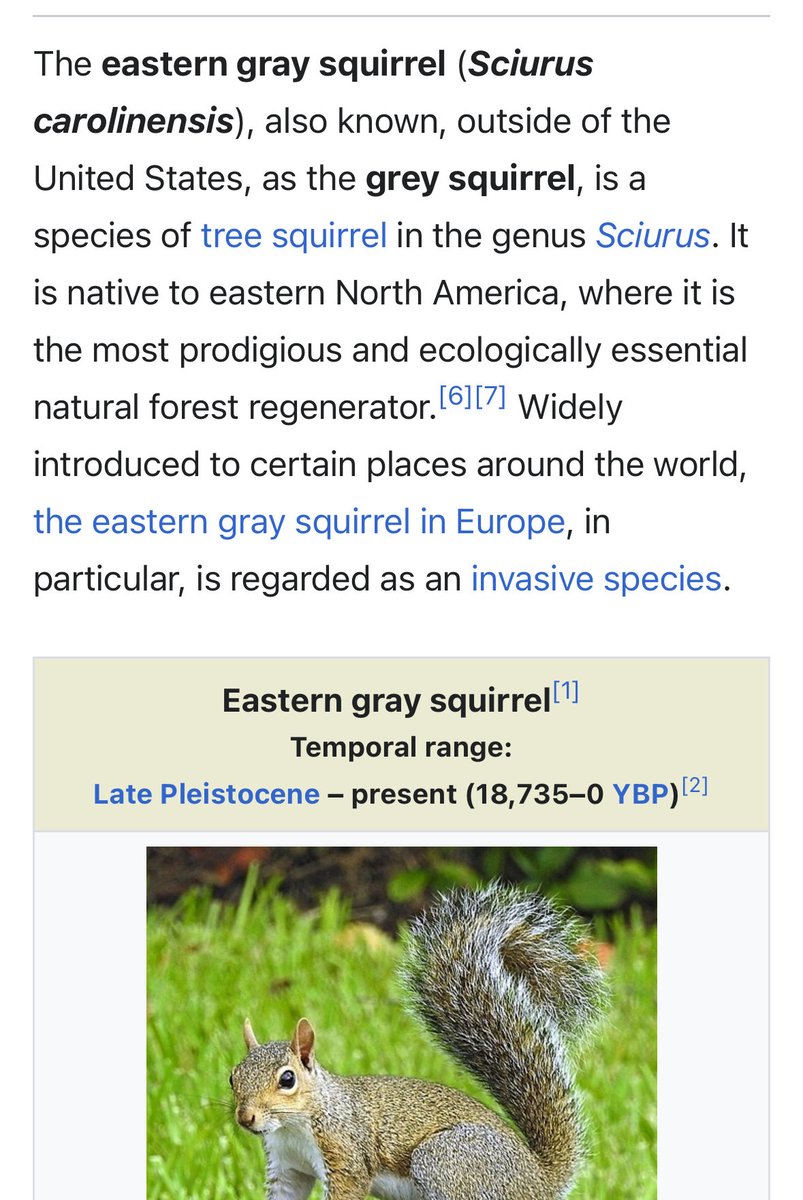 natureznut's tweet photo. @JTommins “The most prodigious and ecologically essential natural forest regenerator” true forest royalty https://t.co/HZMW1tjw6Q