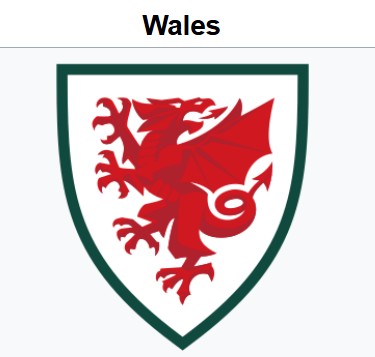 🏴󠁧󠁢󠁷󠁬󠁳󠁿 Wales are one of the 4 teams with 100% probability to participate in 🌎 WC playoffs.

📊 But their seeding probabilities are all over the place. They have almost equal chances to finish Pot 1, Pot 2 or Pot 4.

👉 Playoff seeding for 🏴󠁧󠁢󠁷󠁬󠁳󠁿:
Pot 1⃣ = 28% (🏟️ SF v Pot 4 team, avoid
