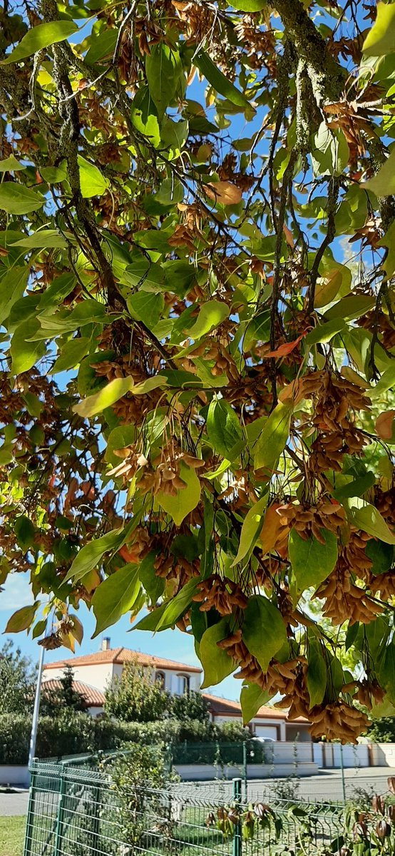 <a href="/KrisMichelleZ/">🌼🐿️ℳ𝒾𝒸𝒽ℯ𝓁𝓁ℯ 𝒩𝒶𝓉𝓊𝓇ℯ & 𝒯𝒽ℴ𝓊ℊ𝒽𝓉𝓈 ✒️</a> <a href="/StephaneNature/">Stéphane Nature & Technique 🌳🚵🌄🏕️✨</a> <a href="/keeper_of_books/">Adam Treeshepherd Rutsch</a> <a href="/Splatscircusan1/">Mike Redwood 🎄🇺🇦 📚🕊</a> <a href="/Natalie67578650/">Natalie Hayes</a> <a href="/LesleyannIrvin1/">Lesley-Ann Irving</a> <a href="/ggioiamelissa/">G.M.D.</a> Bonjour Michelle 🌳😀💚