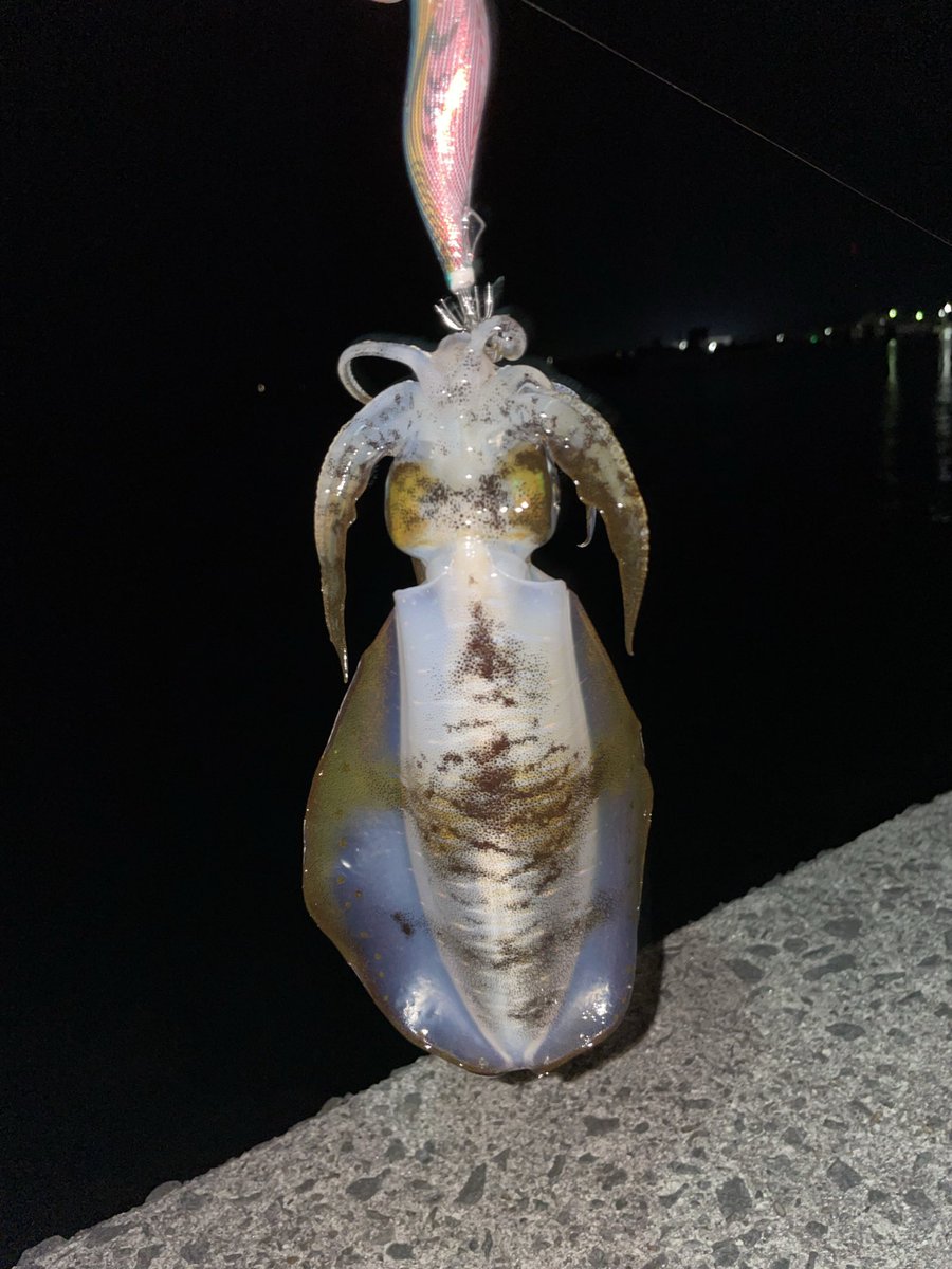 秋を感じるサイズ感