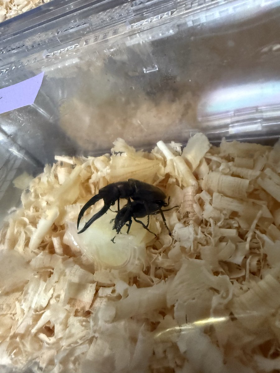 またやっとる😅