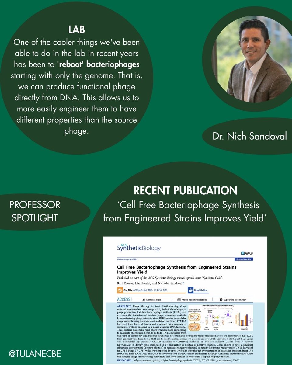 Faculty Spotlight: Dr. Nicholas Sandoval, Associate Professor <a href="/TulaneCBE/">Tulane Chemical & Biomolecular Engineering</a> 🔬
Teaches future engineers, reboots viruses from DNA, &amp; competed on a FOX game show! 🎓🧬📺

#SyntheticBiology #TulaneEngineering