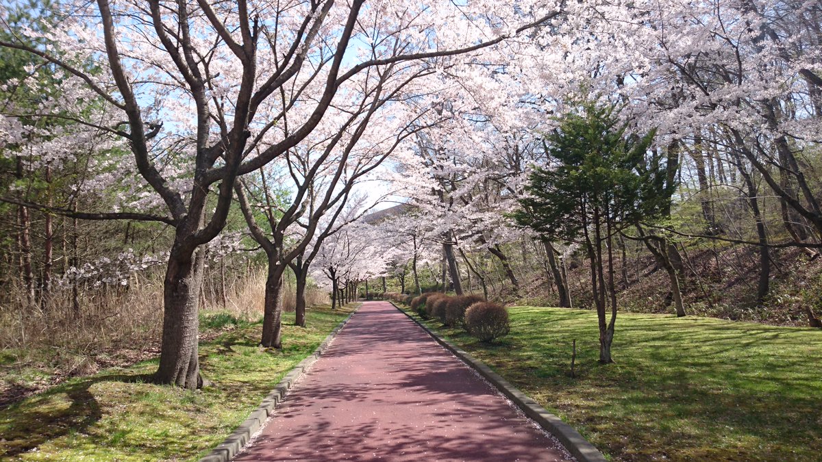 Nanbu185's tweet photo. 2016/04/24 おそらく南部山 https://t.co/xg3lg4iU5l