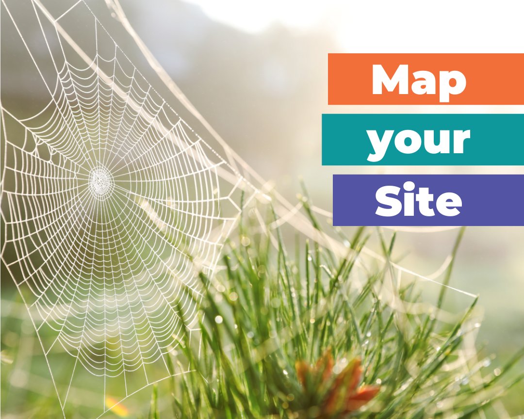 ECU_Comm's tweet image. A sitemap is your website’s blueprint for visibility.🕸️ It helps search engines crawl your pages and understand how they connect. Keep it updated to boost indexing, SEO, and make it easier for audiences to find you. #MarketingTips