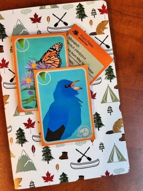 Not only will your child explore the park in the Young Naturalists program, they will also start their own nature journal AND receive exclusive collector cards created just for this program! 

parks.canada.ca/pn-np/on/pelee…