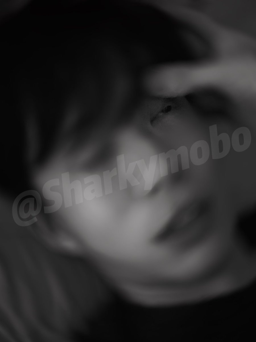 Sharkymobo tweet media