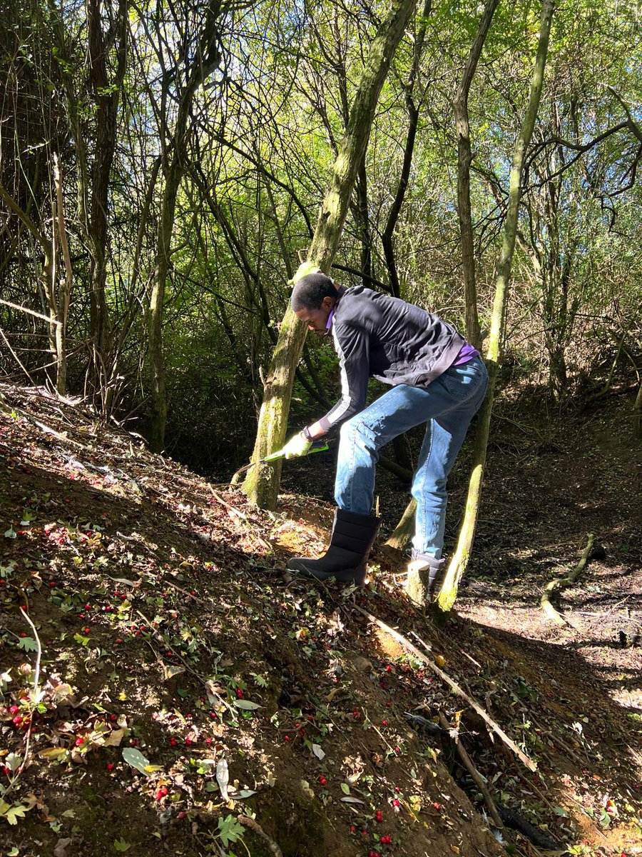 Froglife tweet media