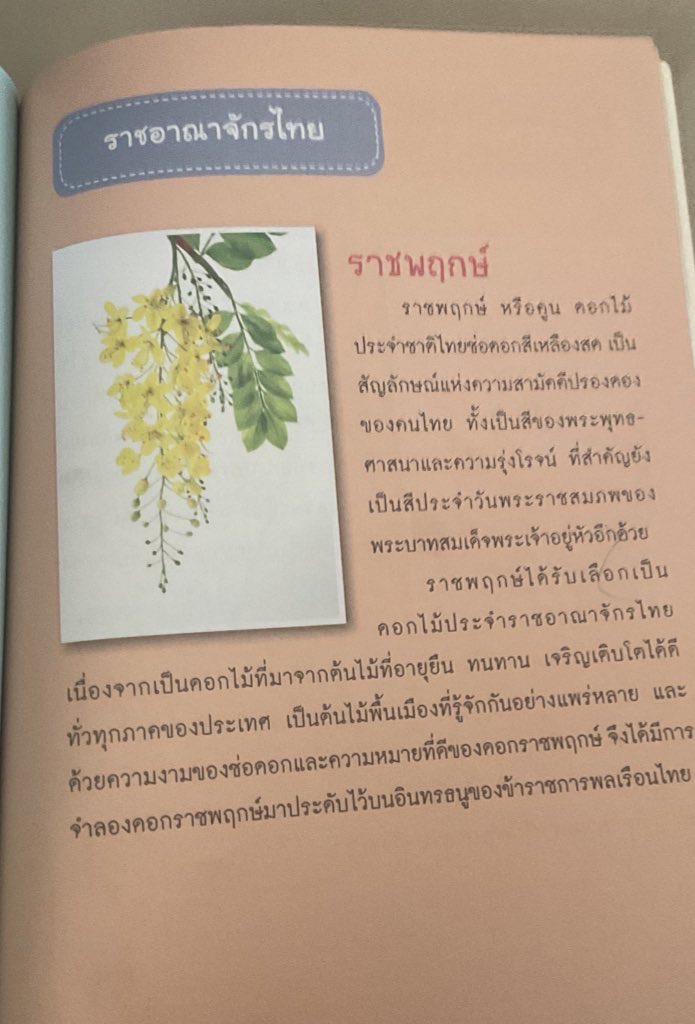 ไมต์จัง (@pynamitee) on Twitter photo 