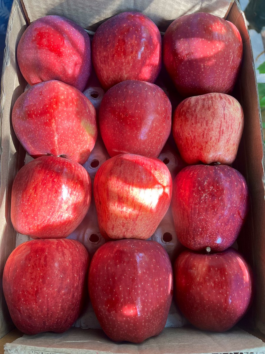 dr mandar kubal tweet media