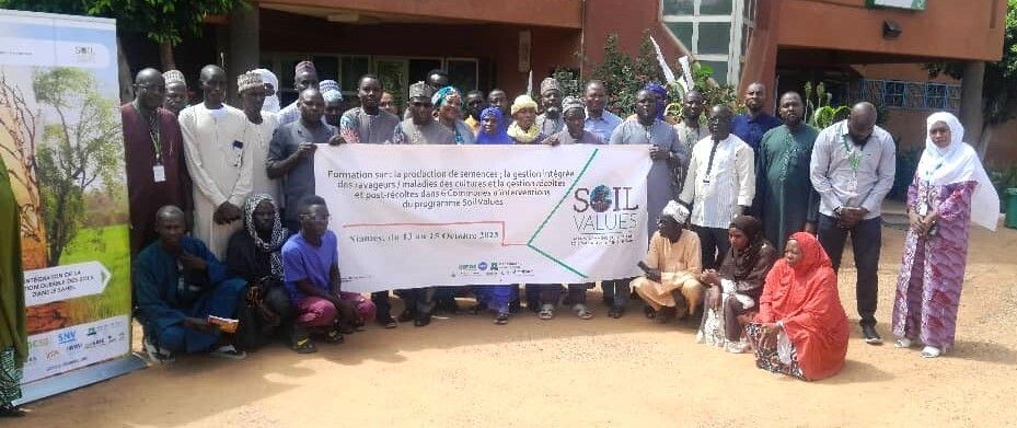 #SoilValuesProgram et <a href="/ICRISAT/">ICRISAT</a> a lancé le 13 oct. 2025 la formation des producteurs relais, #CDA et membres de #APPSN sur la production de semences; la gestion intégrée des ravageurs, les maladies des cultures et la gestion récoltes et post-récoltes. 
<a href="/IFDCGlobal/">IFDC</a>