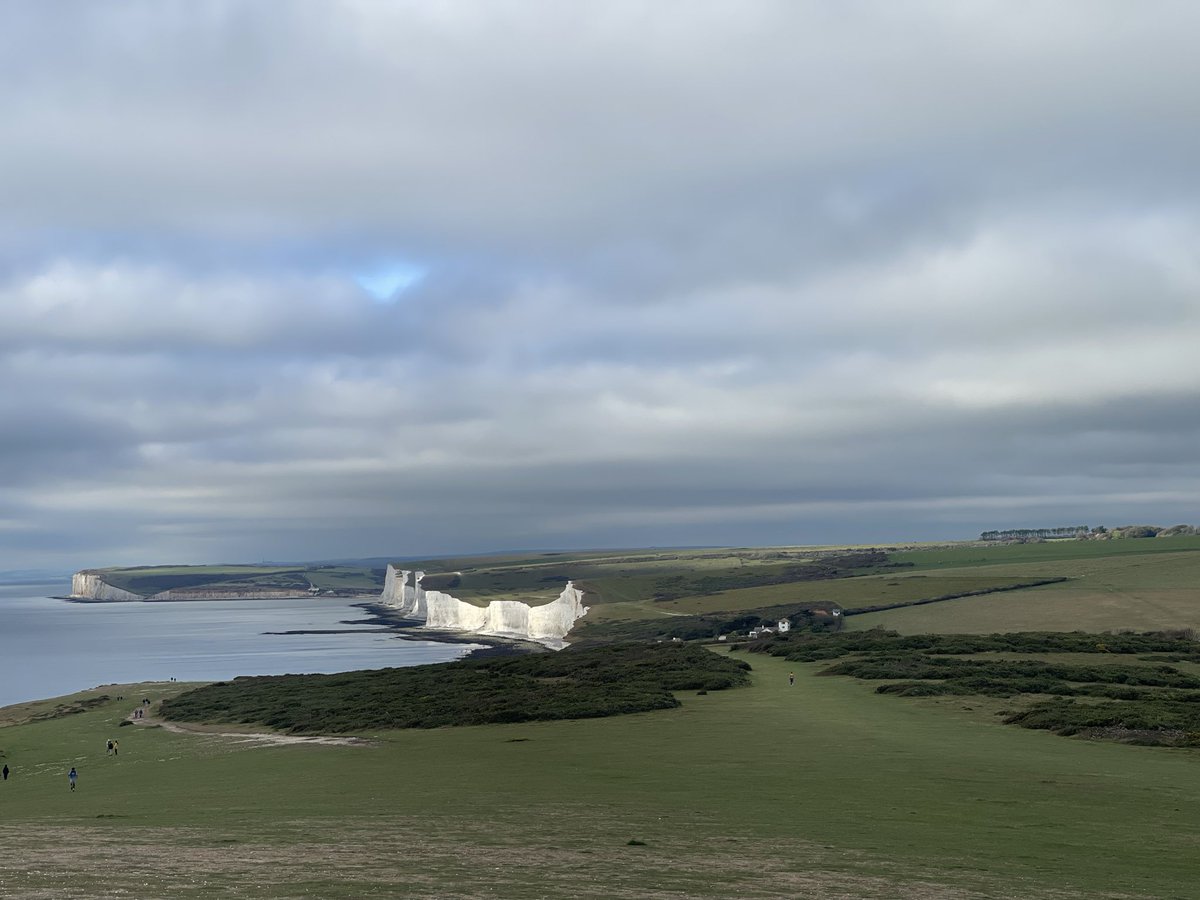 Breach Mike tweet media