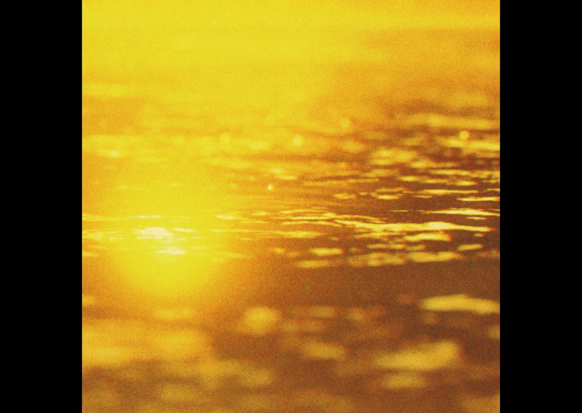 𓆑 (@s_oek1) on Twitter photo 