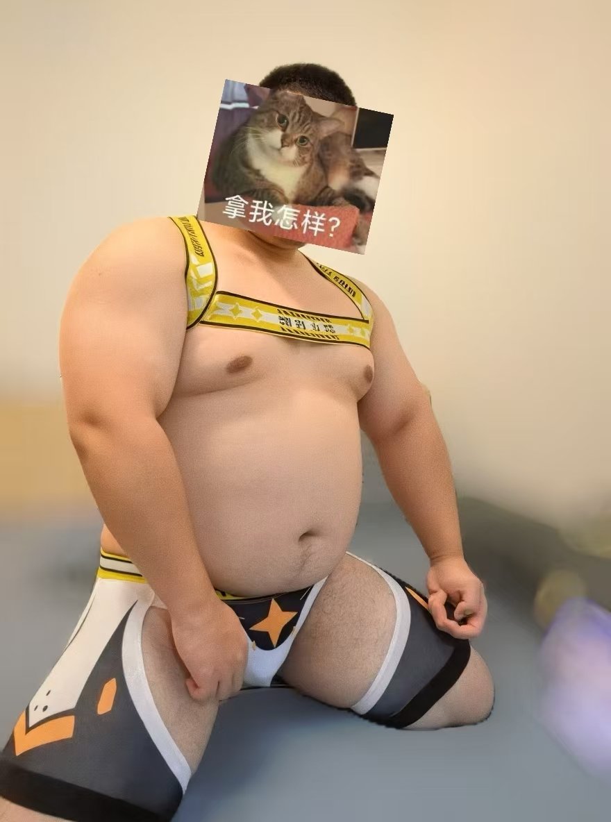a成喜猪妹+1