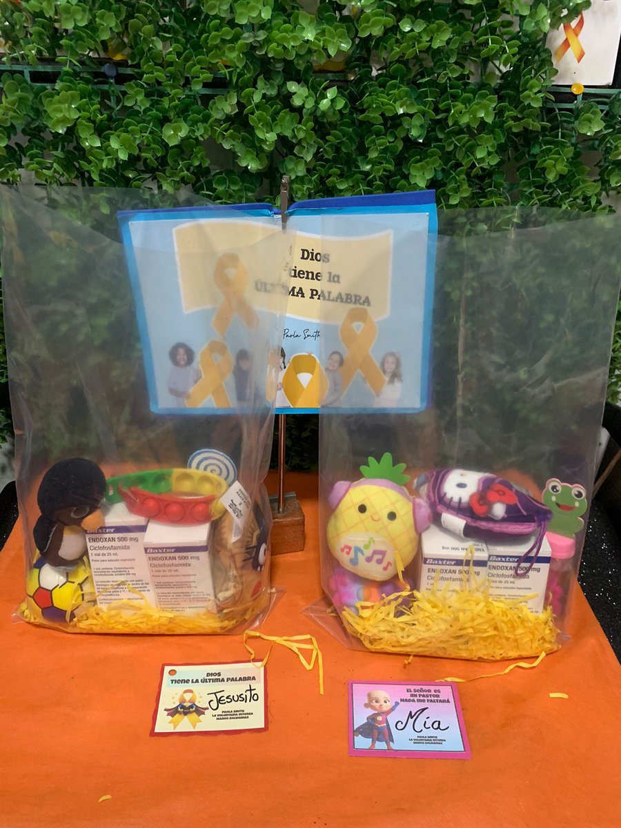 PaolaSmith2812's tweet image. Juntos contra el cáncer infantil 🙏🏽🎗🙏🏽 #RT