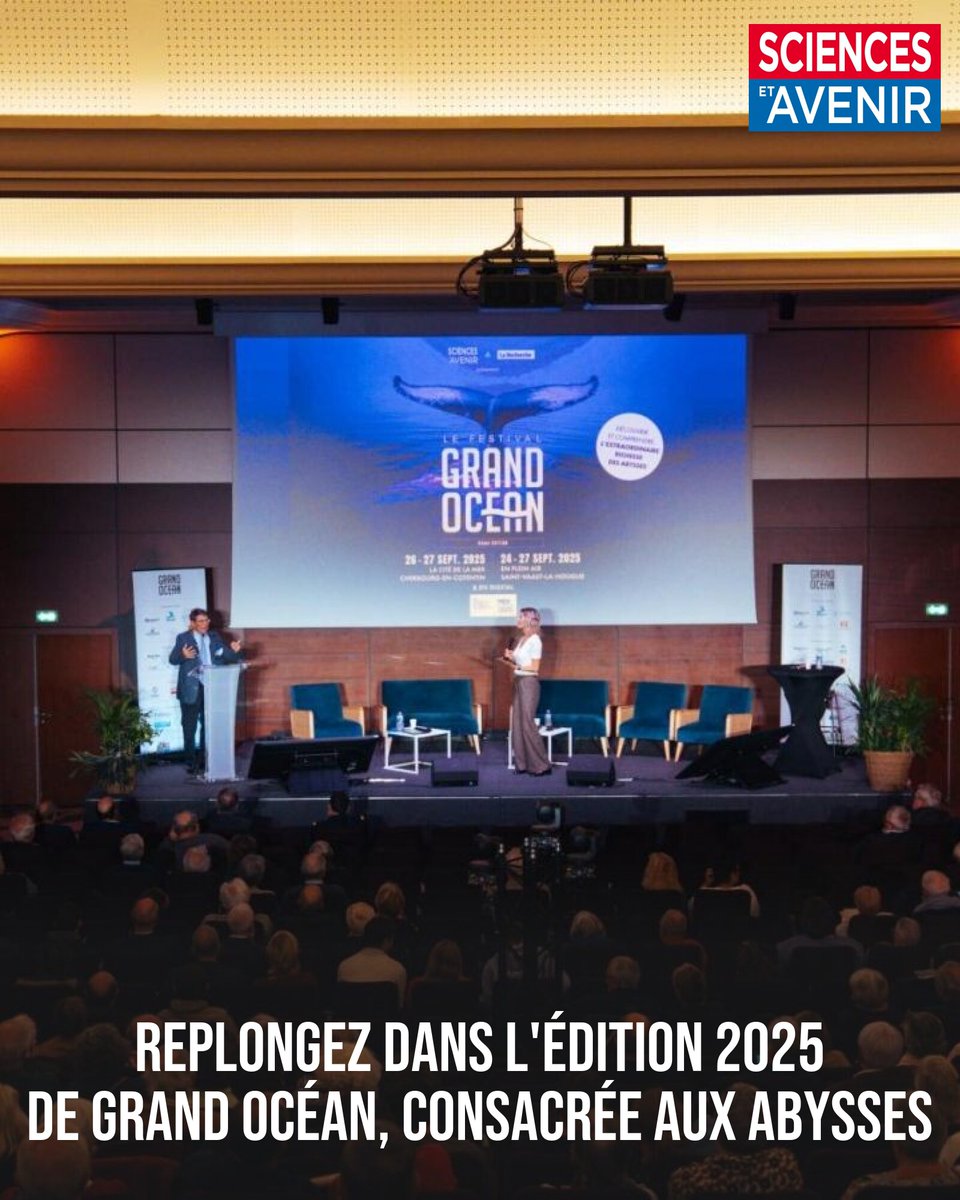 Grand Océan tweet media