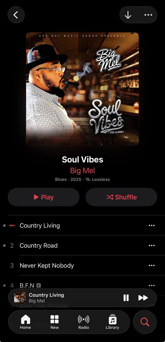 Mixed and Mastered these 3 albums in 2025. One just went #1 on Apple Music. #southernsoul #blues #SOUL #musicproducer #TheUnionMusicGroup
