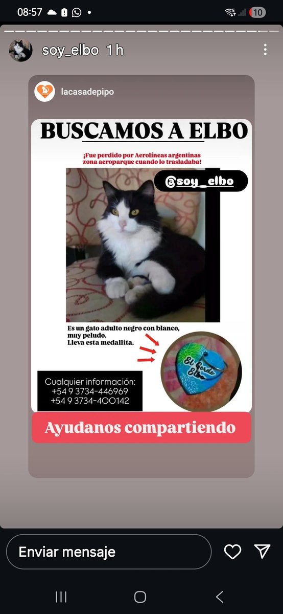 <a href="/talvezsoyabril/">abru ★</a> Ayuden a difundir seguimos buscando a @soy_elbo perdido en Aeroparque durante el transbordo de bs as a Bariloche @aerolineasargetinas <a href="/jet_paq/">Mark Müller</a> colaboren con la búsqueda de Elbo.. su familia está desesperada.  Elbo es una vida no una valija... compartan