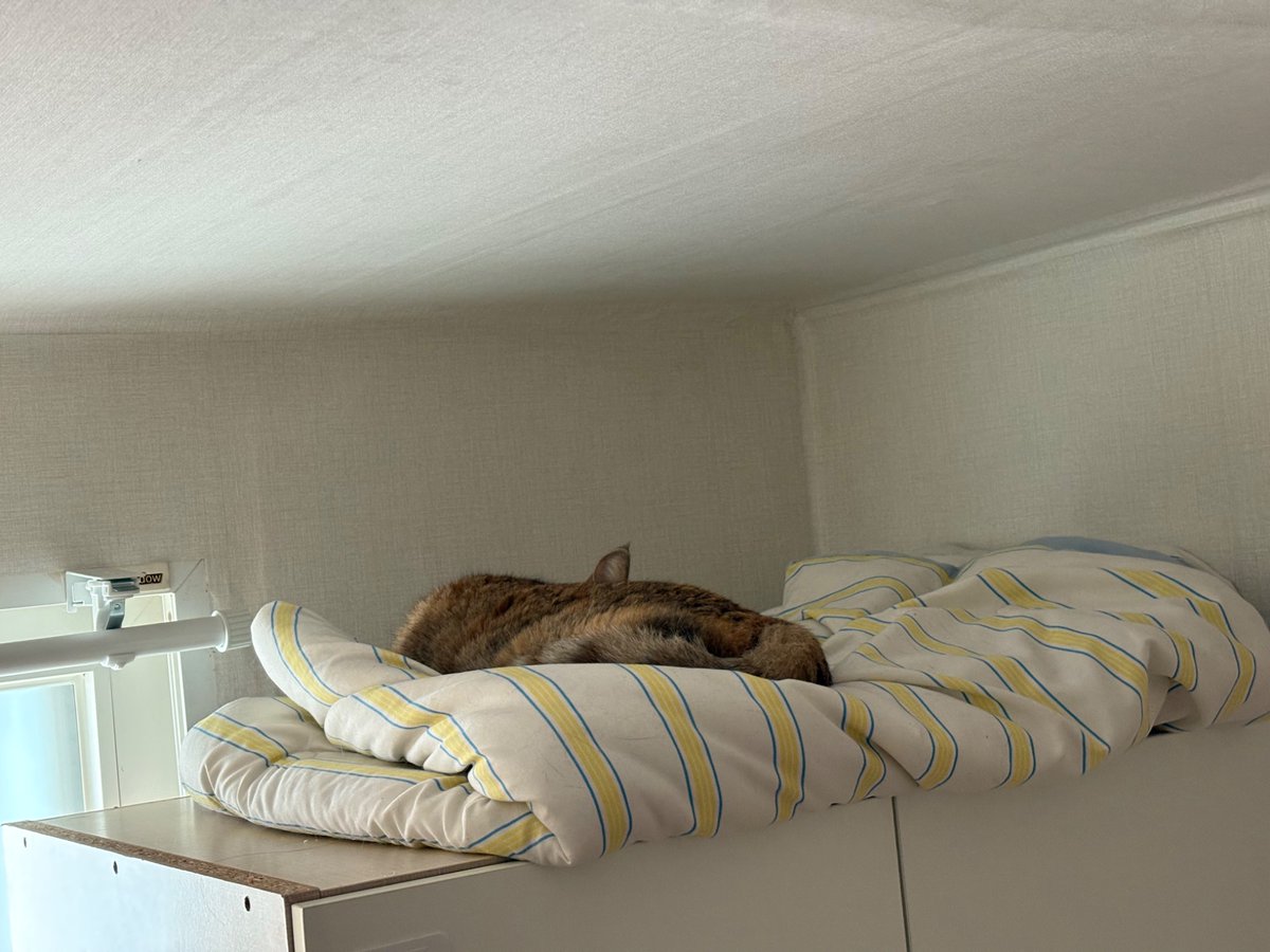 날이 추워지긴 했나부다