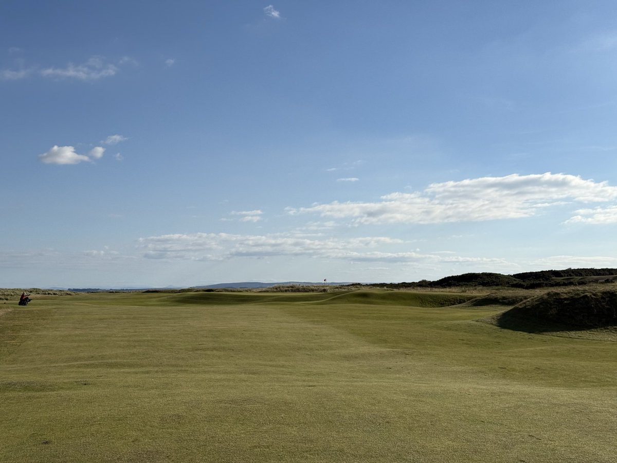 The Principal’s Nose tweet media