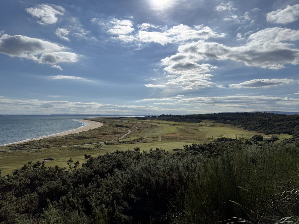 The Principal’s Nose tweet media