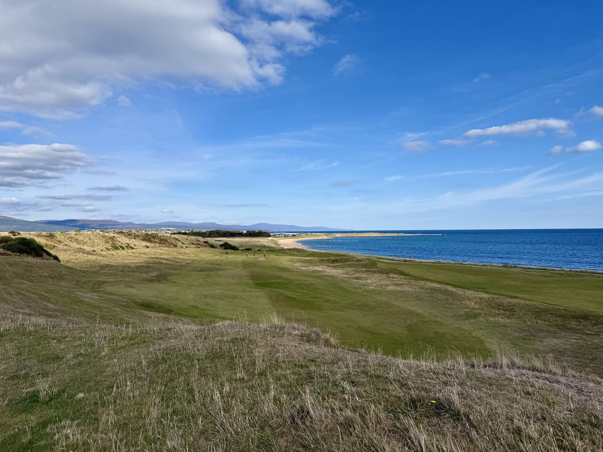 The Principal’s Nose tweet media