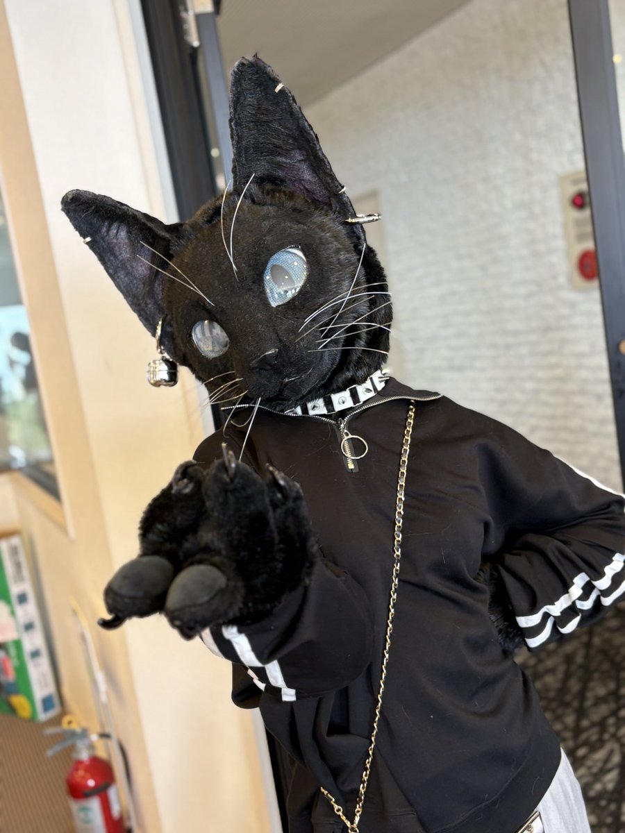 ぎゃるぴ✌️
 #FursuitEveryday 

📸 #_keykids_