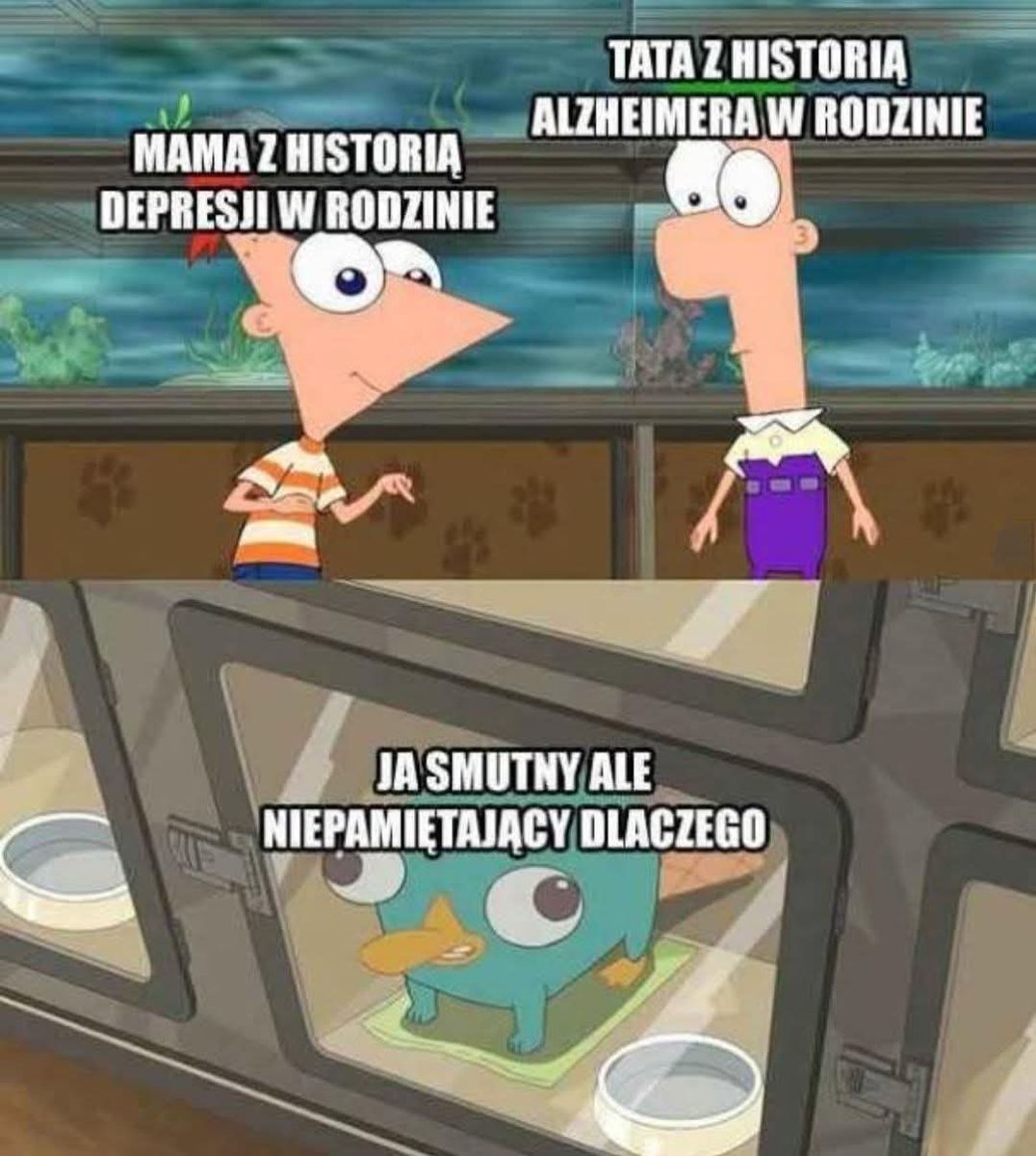 Opisz swoje konto twitterowe jednym obrazkiem