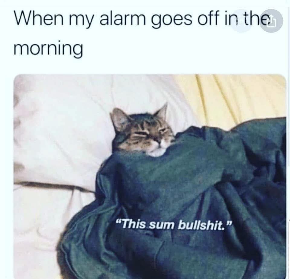 It is 😂