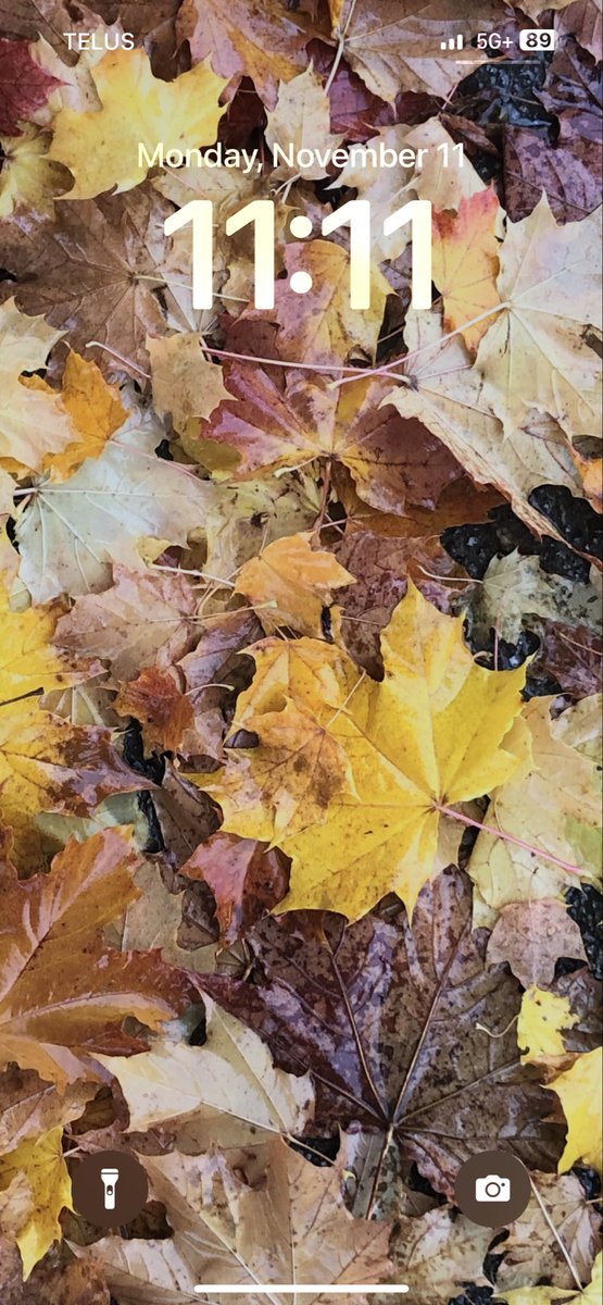 Teresa Bowles tweet media