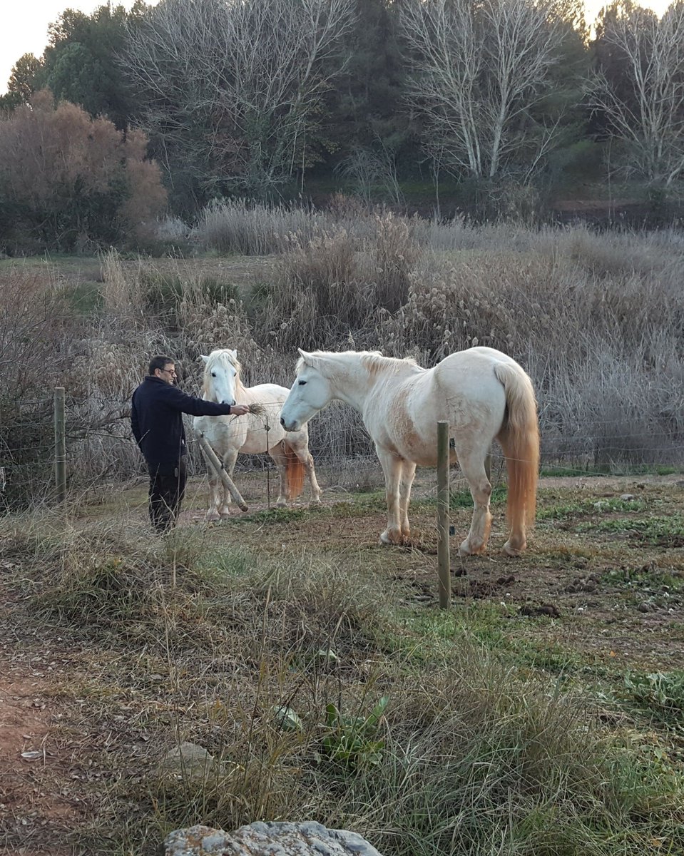 Les #cabretes de Dintre el Bosc el diumenge 19 anirem als Aiguamolls de la Bòbila, farem uns15 km. 

Ens trobarem a 2/4 de 8 a la pl. Onze de setembre, Manresa.

buff.ly/03DcKoV