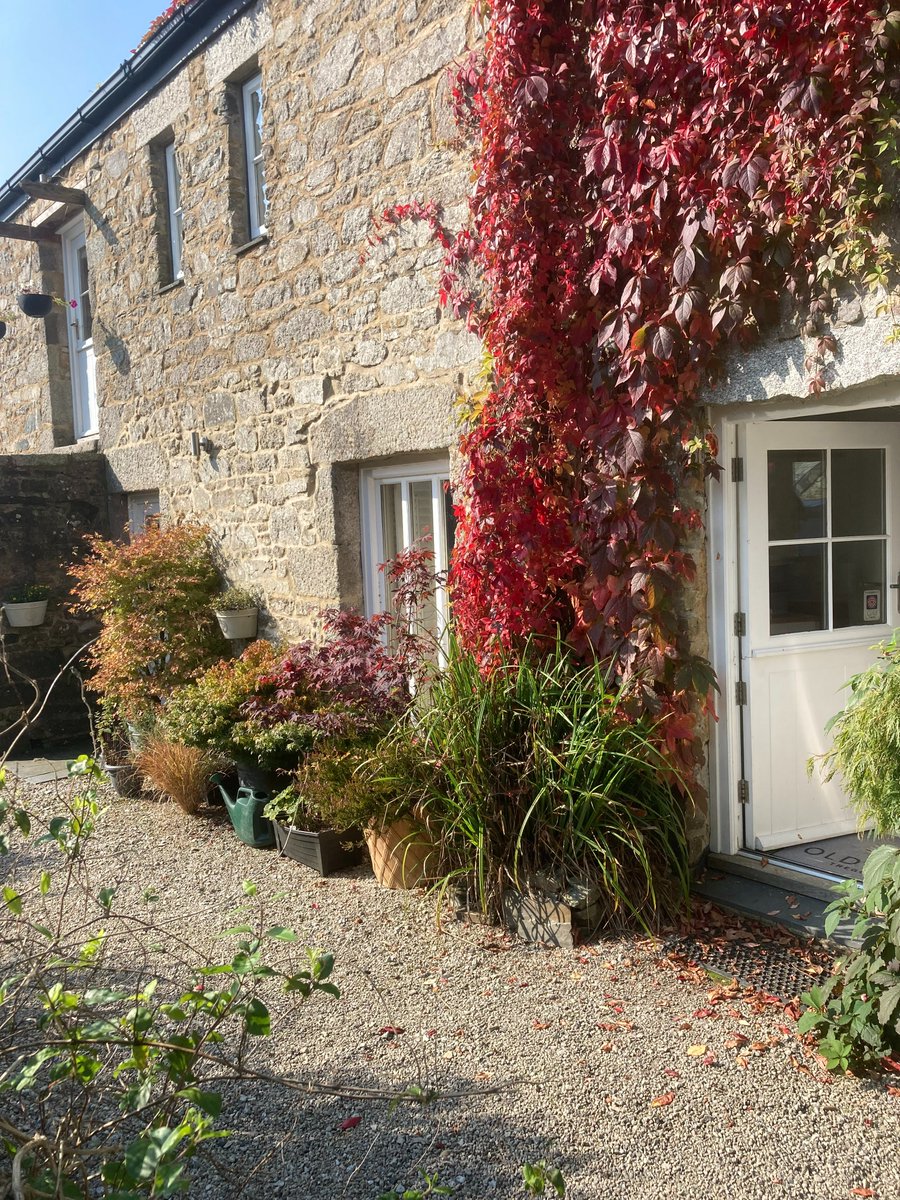 Just the most amazing Autumn colours in the OBT garden! 🍂🤎❤️🧡💚

#autumn #october #cornwall