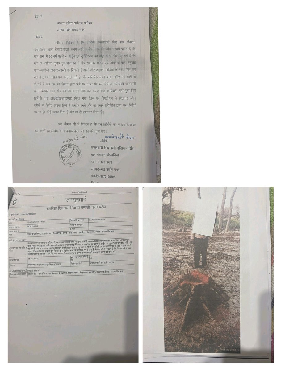 SamajikChetna58's tweet photo. ग्राम पंचायत कैथवलिया थाना बेलहर कला में हो रहे लगातार सरकारी पेड़ों की की चोरी निरंतर जारी है आईजीआरएस एवं लिखित शिकायत के बावजूद भी नहीं हो रही कोई कानूनी कार्रवाई वन,पुलिस व राजस्व विभाग सब आंख कान बंद कर लिए हैं @digbasti @santkabirnagpol @UpforestUp @Uppolice @CMOfficeUP https://t.co/Xliy1SuA8J