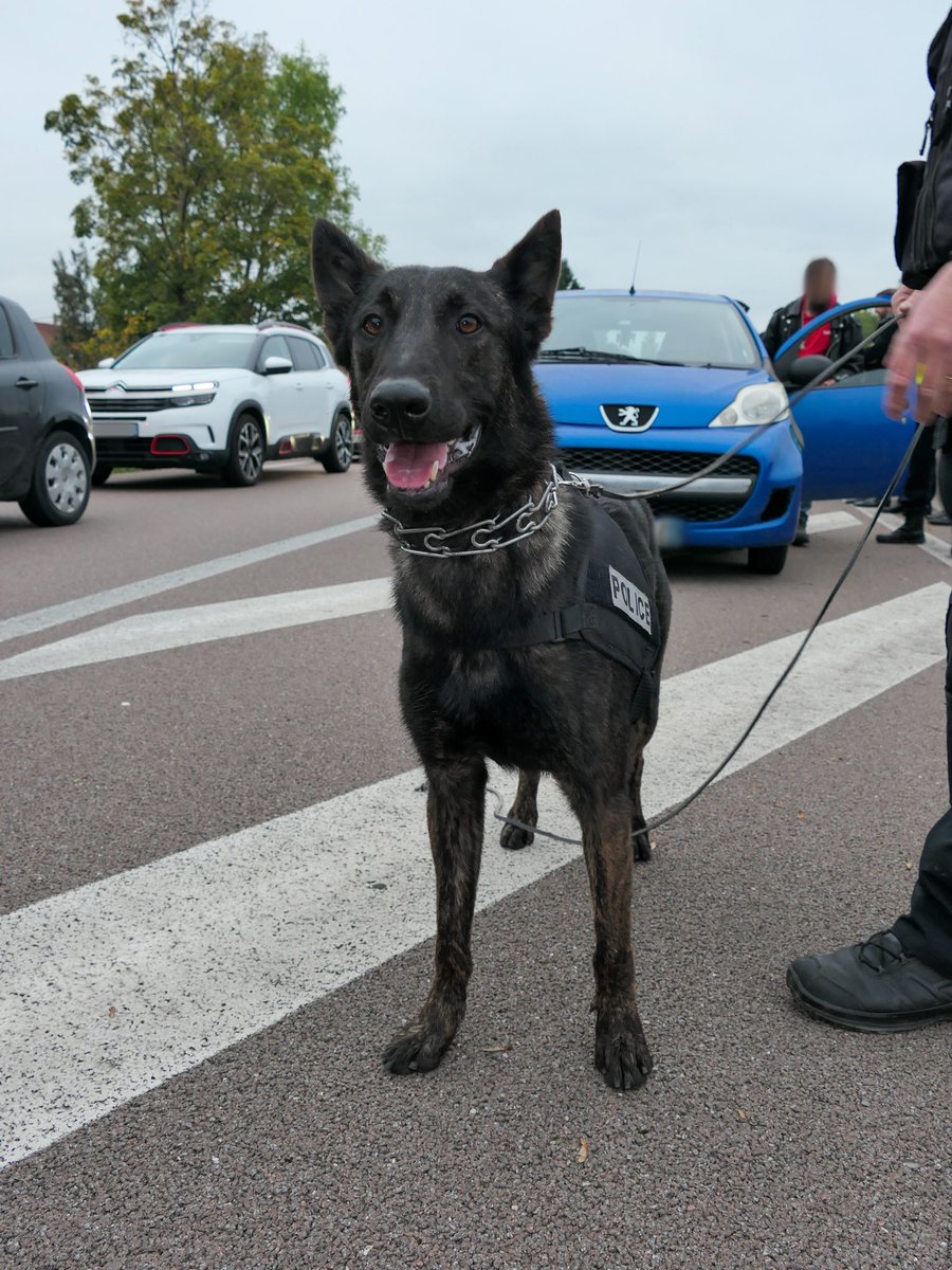 Tribunal Troyes tweet media