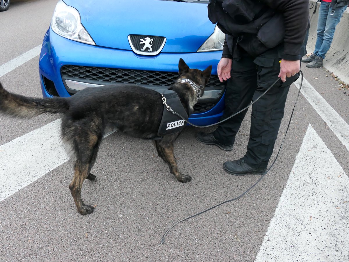 Tribunal Troyes tweet media