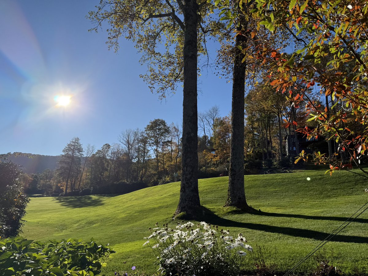 Tim Kreger tweet media