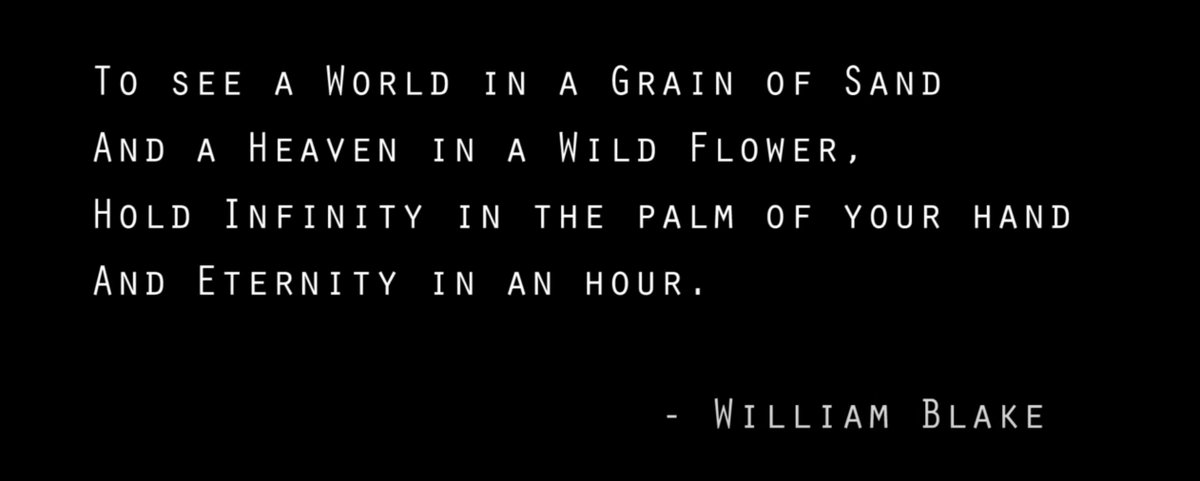 MaxXed Stirner tweet media