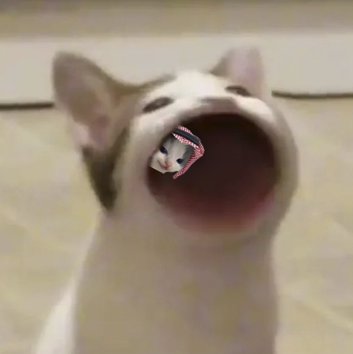 <a href="/cat_maxxxed/">Lucilfer 🍌😼🍎</a> cheap hehe
