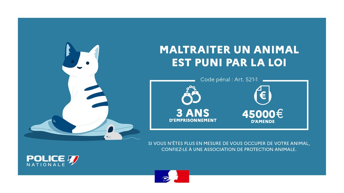 #AbandonAnimal | 🐈🐕 Chaque année, des milliers de chiens et de chats sont abandonnés.
Abandonner un animal est un délit puni par la loi, d’une peine pouvant aller jusqu’à 45 000 euros d’amende et 3 ans d’emprisonnement.