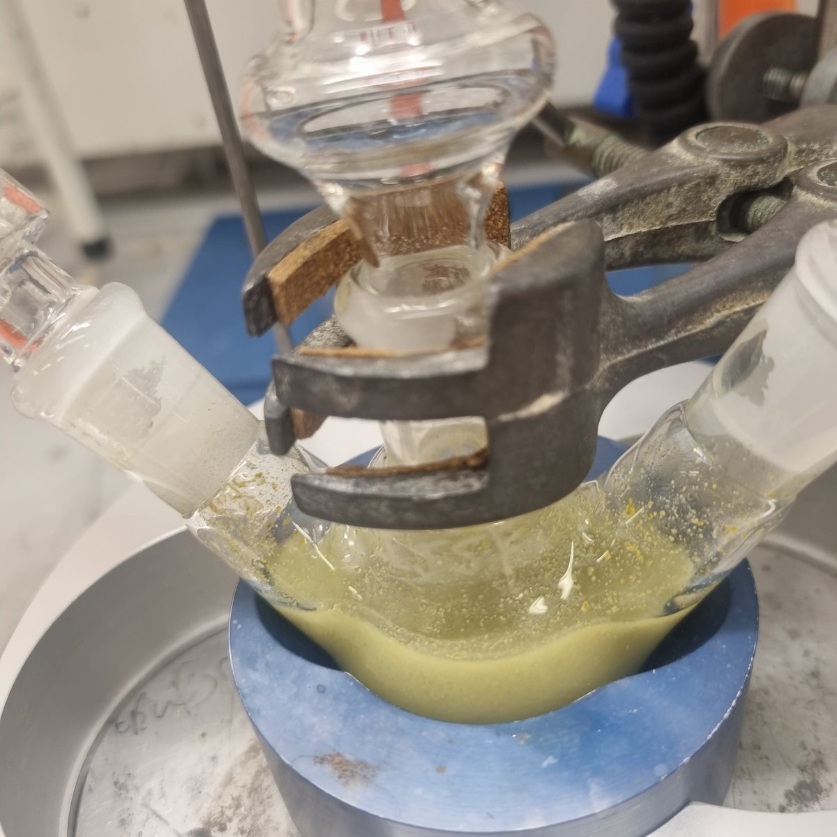 bepenbopenmann's tweet photo. cooking up mushy peas in the laboratory https://t.co/TOHYpx9OQ3