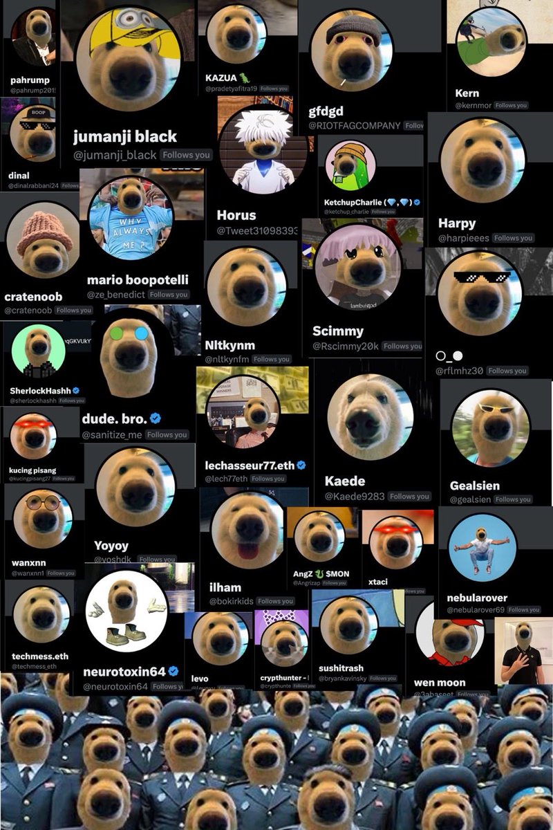 boop tweet media