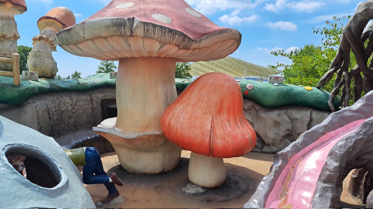 tokaiseichiquiz's tweet photo. 【難易度：簡単】
💙🍄

💚🩷
👮‍♂️🧡「キノコの精発見」

ちょっと場所の名前ムズいかも！

ここ車でしか行けない距離だよね～
行ってみるとちょっと意外なことが分かるかも…？

#東海オンエア
#東海オンエア聖地巡礼
#バッファロー吾郎a https://t.co/qSBT0QO954