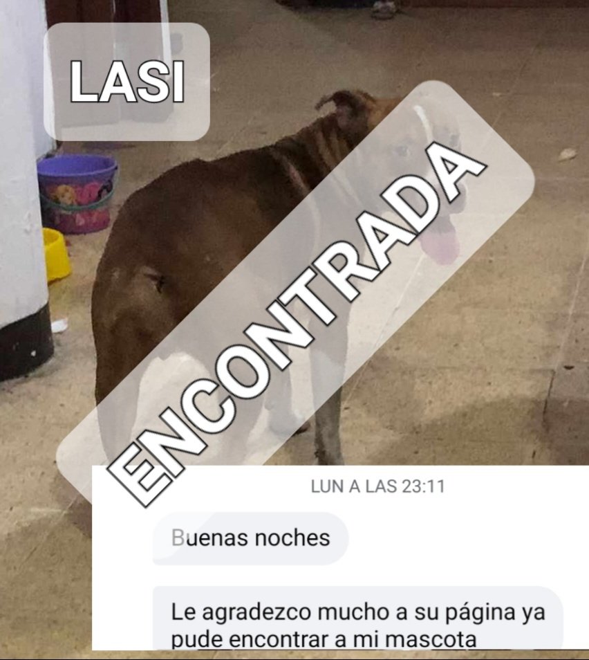 AlertaMePerdi's tweet image. Nos complace informar que #LASI, ya se encuentra con su familia, gracias a tod@s por compartir la información.
