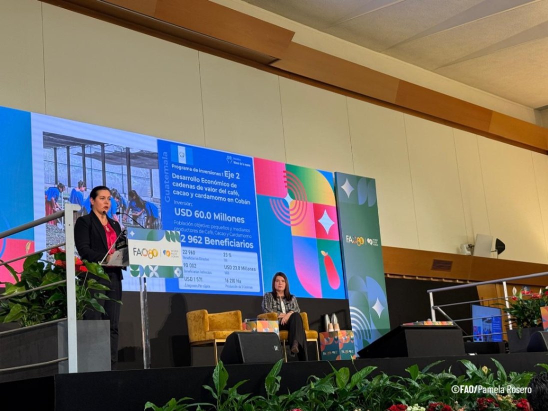 📉En el marco del <a href="/World_FoodForum/">World Food Forum</a>, Guatemala presenta en el Foro de Inversiones #HandInHand dos programas de inversión:

✅ Rutas del Desarrollo para Alta Verapaz centrado en café, cacao y cardamomo
☑️ Infraestructura de Riego en el Corredor Seco y Petén

bit.ly/4omXgLS