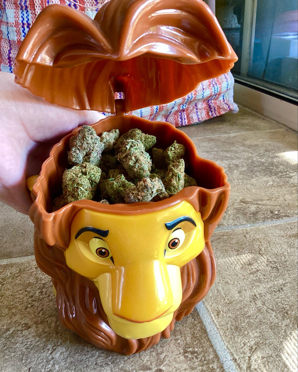 MeatSuperstar's tweet image. Would you smoke the Simba lobotomy weed?