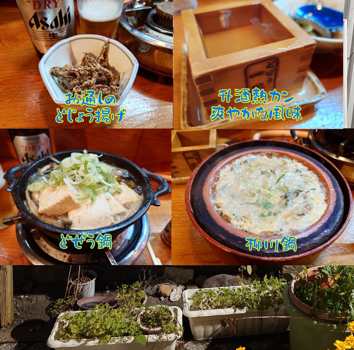 奥州市水沢に到着しましたぁ🤗
３年ぶりだぁ😀
チェックインの前にいつもの飲み屋へGO🏃‍➡️
今宵はここで【どじょうの店 一平】
先客２名地元の方😀
会話も参加できました！そしたら
オヤッサン思い出しくれました🤩
嬉しいねぇ！内装も味も落ち着くんだわぁ🥰
#水沢駅界隈飲み屋
#どじょうの店一平