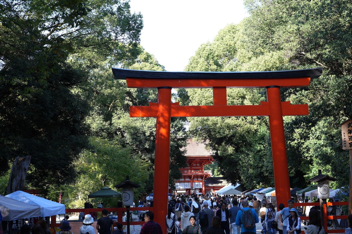 ⛩️ 導かれる、商売繁盛。 干支の大黒さまと八咫烏の導きが重なる