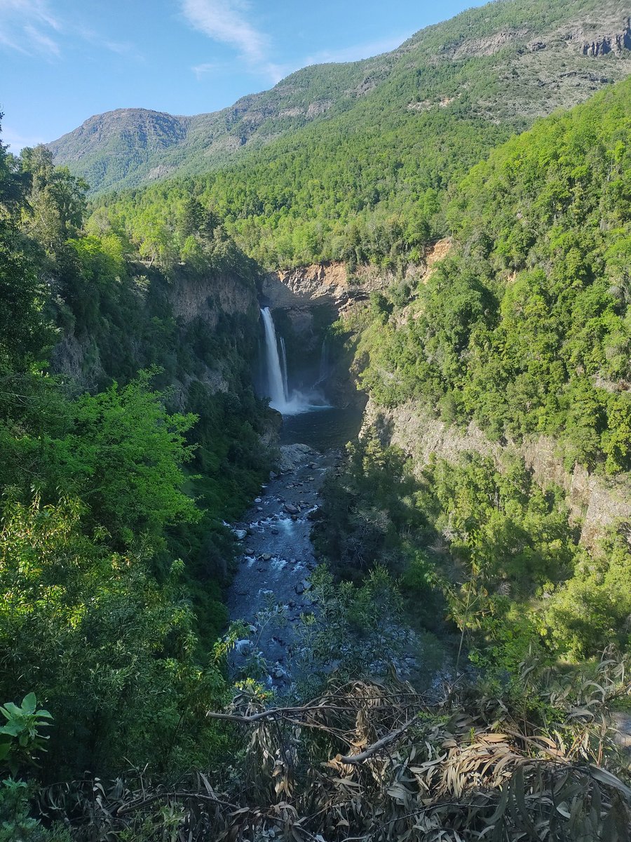 Velo de la Novia hoy