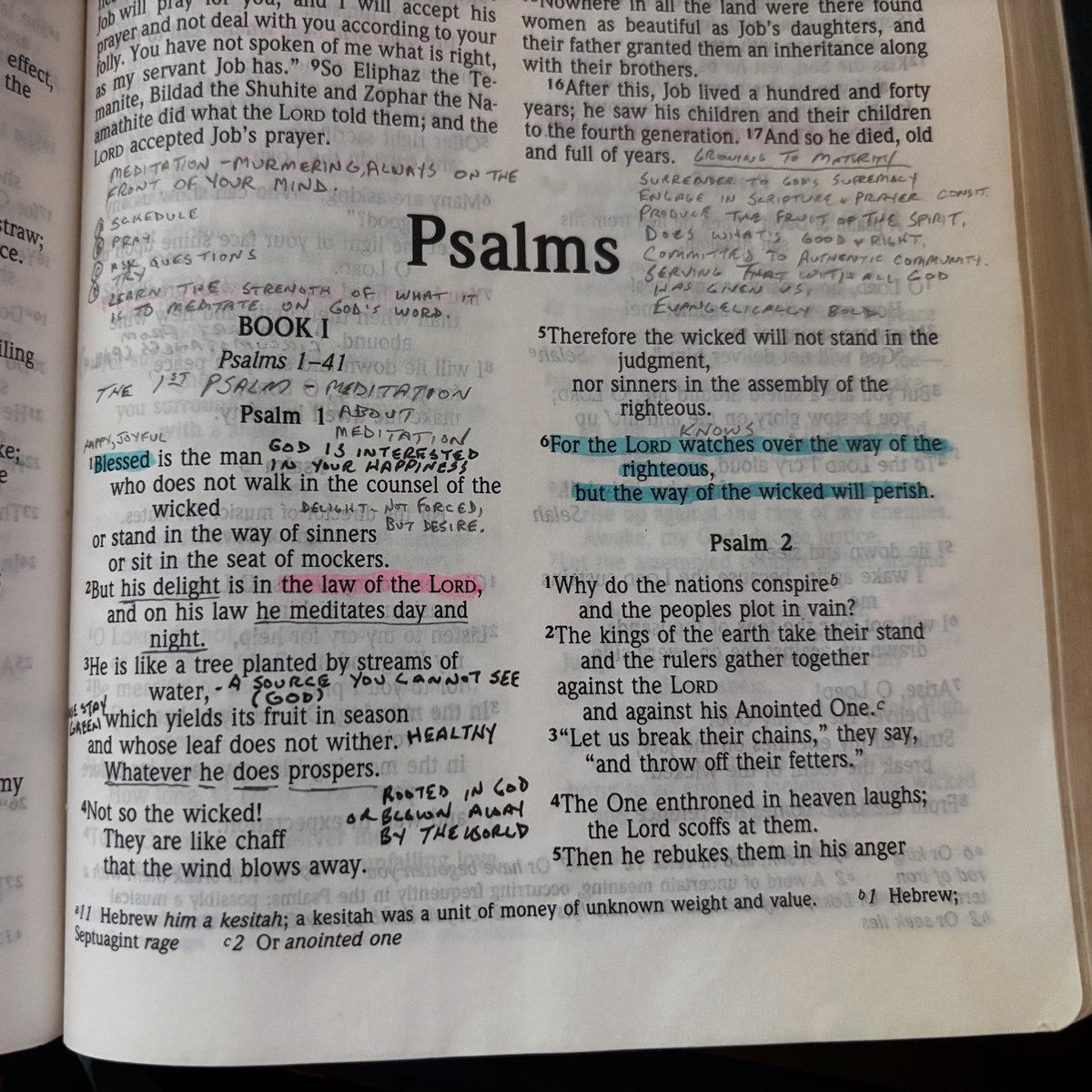 Jason Carney tweet media